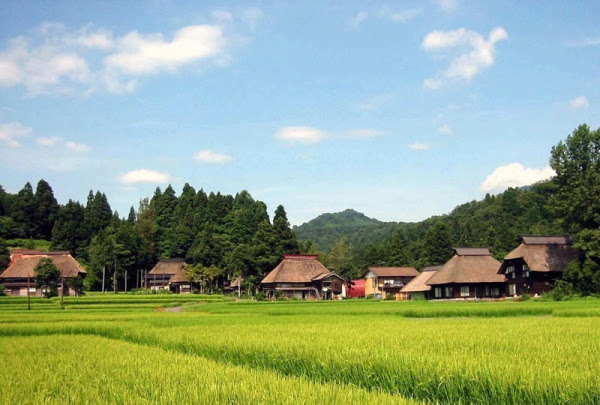 日本农村人口_日本农村