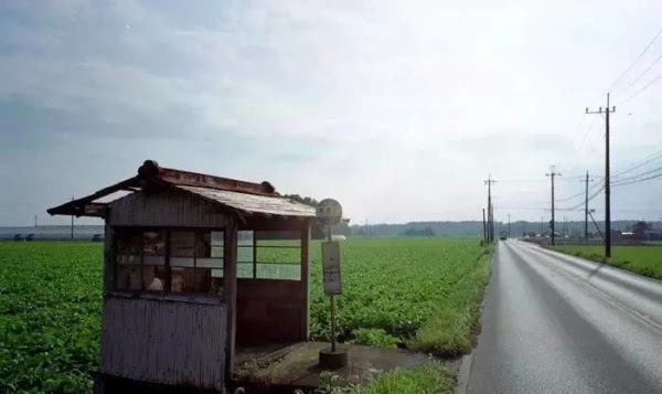 日本农村人口_日本农村