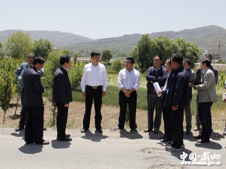 武山县县长马勤学调研督查城区建设工作(图)