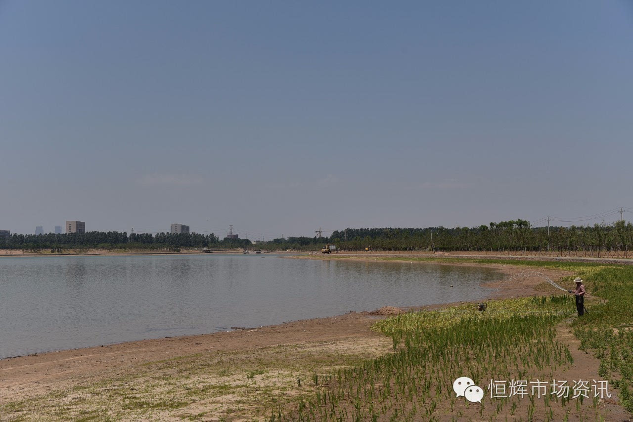 实地探访白沙组团象湖片区现状 省科技馆新馆下半年破土动工