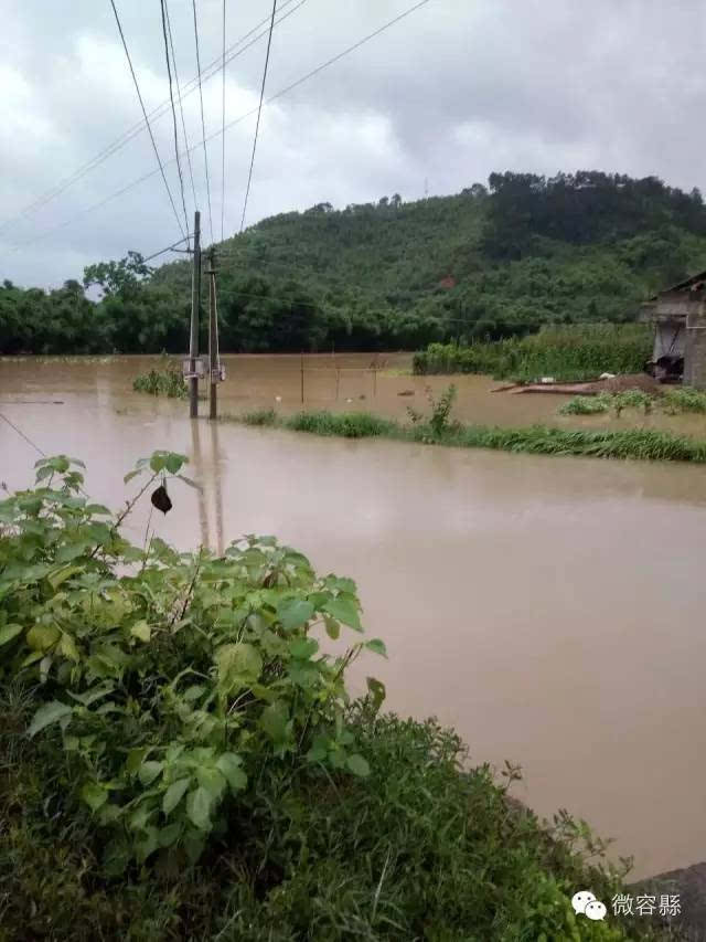 容县突遭暴雨袭击部分农作物和房屋被淹