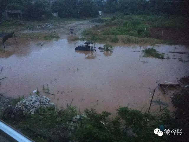 容县突遭暴雨袭击部分农作物和房屋被淹