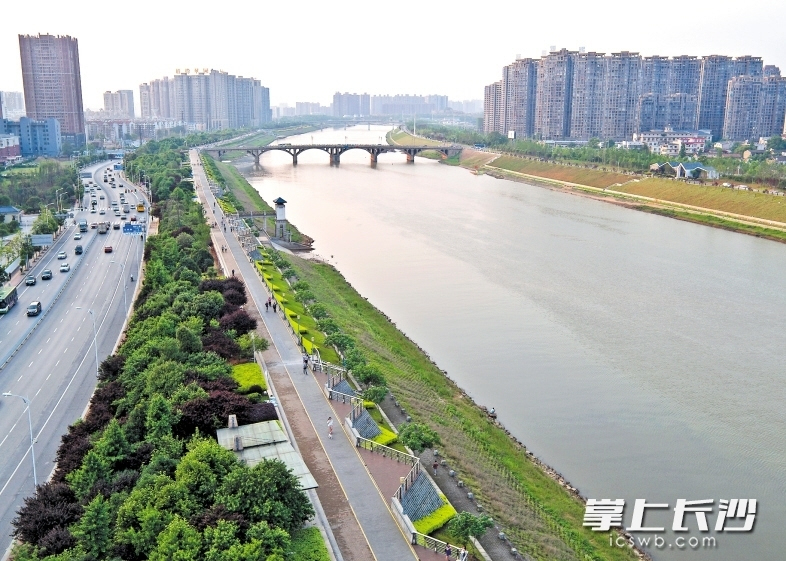 图为浏阳河风光带西岸的城市绿道.长沙晚报记者 李锋 摄