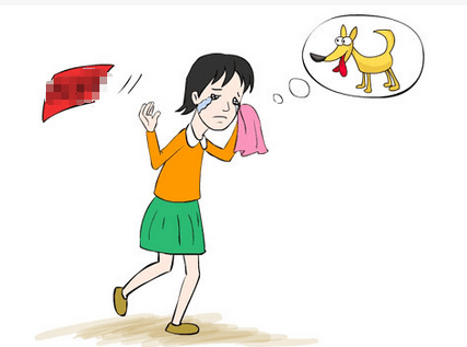 上海一女子宠物狗丢失 为找狗求助网友付万元寻狗费