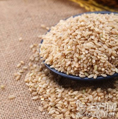 [糙米的功效与作用]糙米怎么做好吃