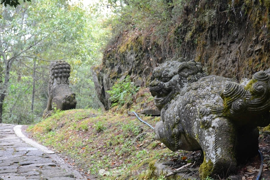 深山寻幽处 误入千狮山