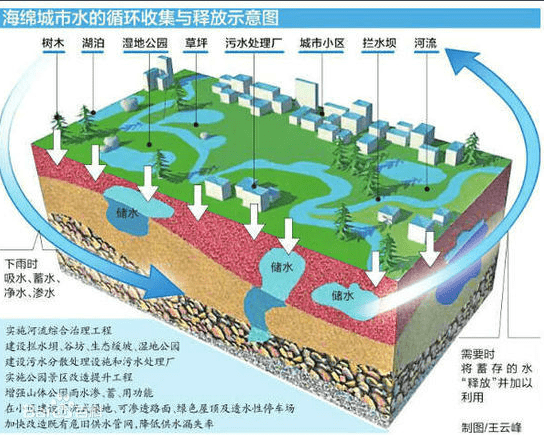 深圳全面启动海绵城市建设