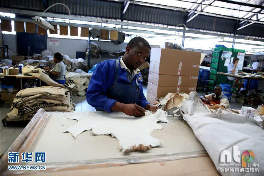 实拍非洲皮革工厂:上流社会日用品的加工地