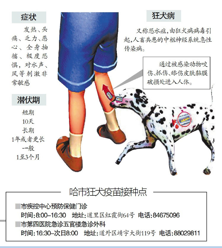 哈市狂犬疫苗接种点