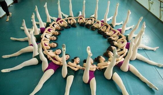 贵州大学艺术学校舞蹈系文科文化分多少?专业