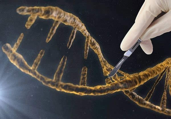 高能生物课 | CRISPR技术是什么,能编辑人类D