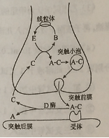 2016年高考全国卷2理综生物试题及答案