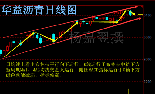 杨嘉翌:6.13欧洲杯绚丽绽放米国遭受惨案黄金