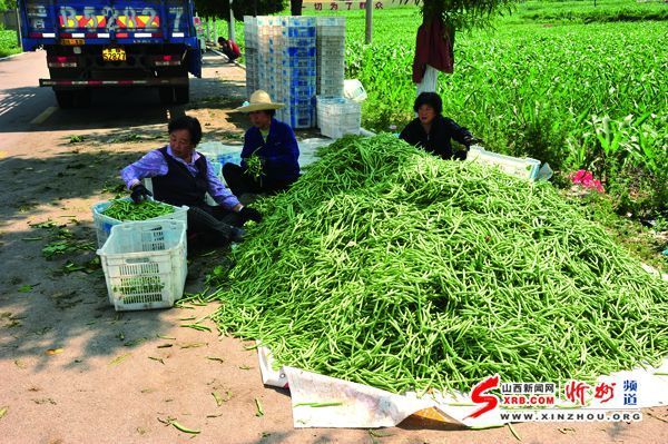 代县峪口乡人口_代县胡峪乡分水岭