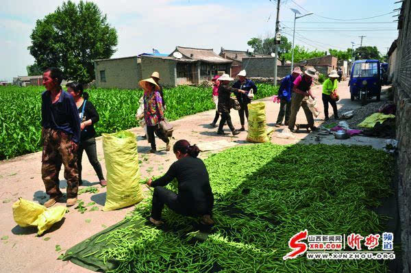 代县峪口乡人口_代县胡峪乡分水岭(2)