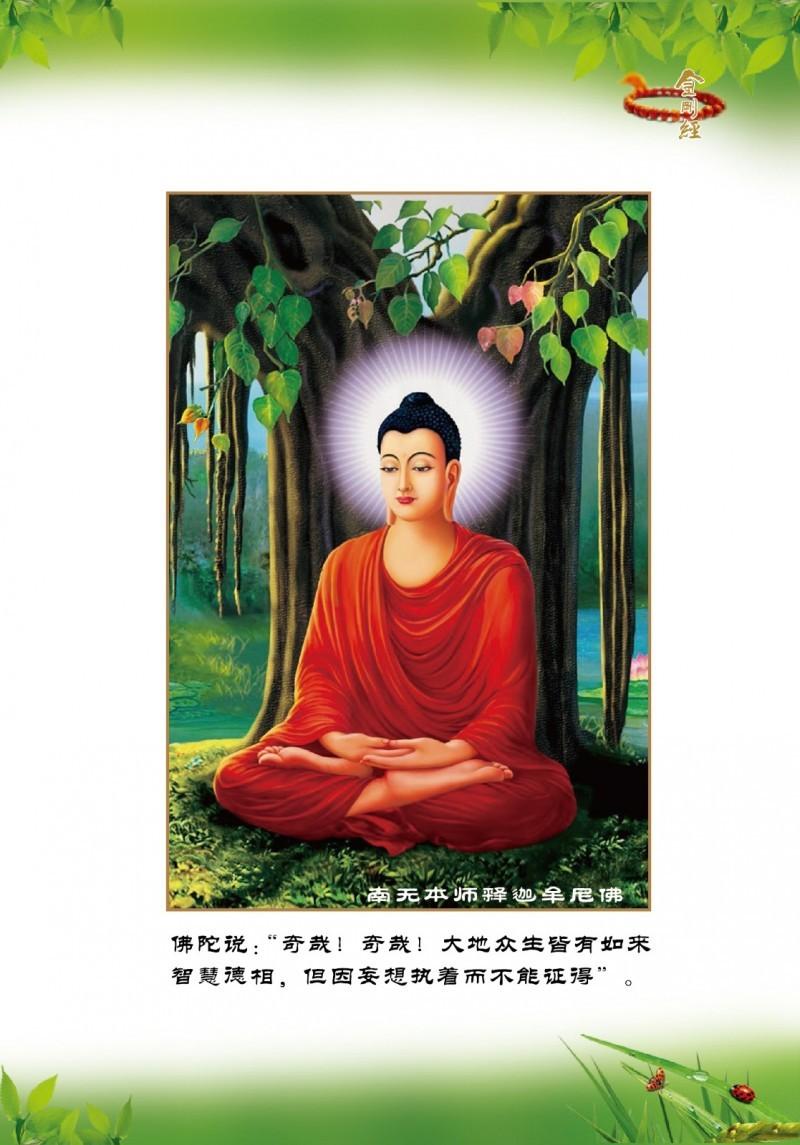 [推荐]佛陀在菩提树下究竟证悟了什么?为何发生六种震动?