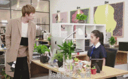 关于鹿小葵智商的长进,