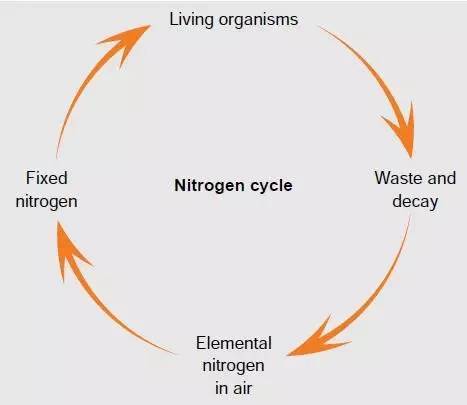 大自然生物圈内基本的物质循环之一,大气中的氮经微生物作用进入土壤