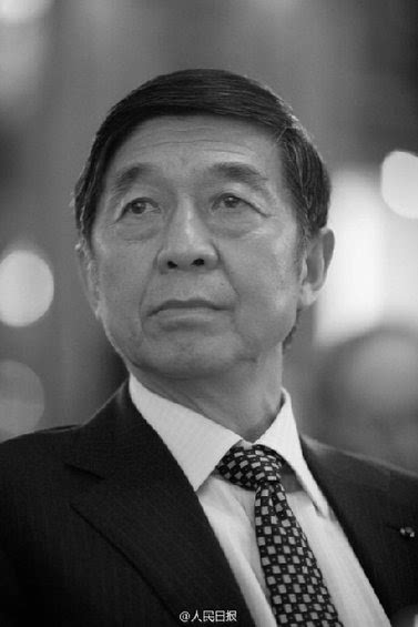中国前驻法国大使吴建民在武汉遭遇车祸身亡