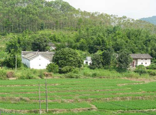 走进东源|广东省古村落之义合镇下屯村