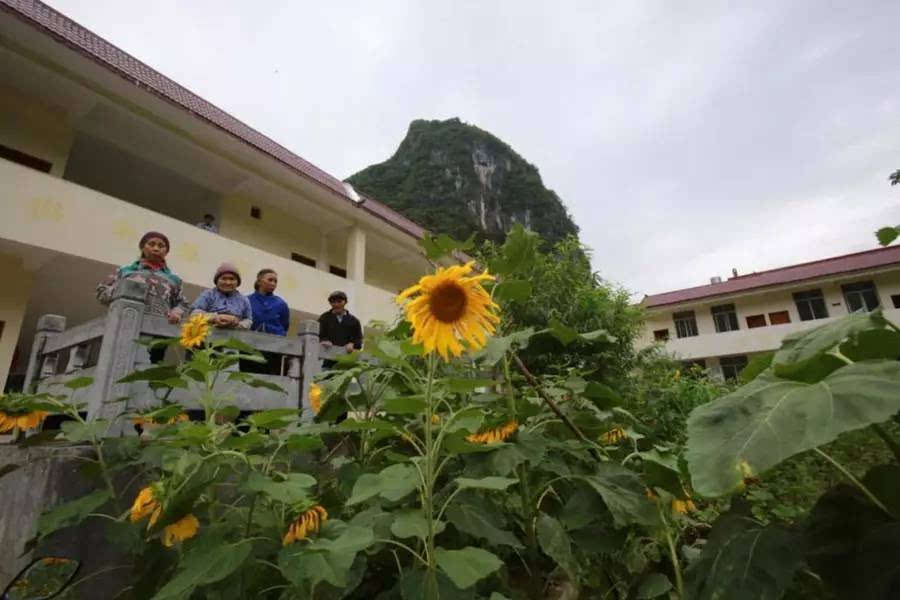 百色市有多少人口_悲惨 一人当场死亡 百色拉域往田林方向三叉路口发生车祸(3)