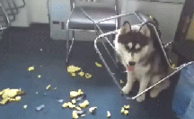 所以我今天说的