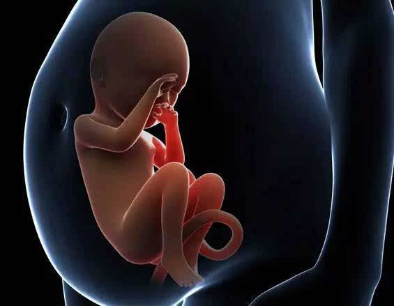 记者暗访宁波地下代孕市场:试管婴儿40万元起