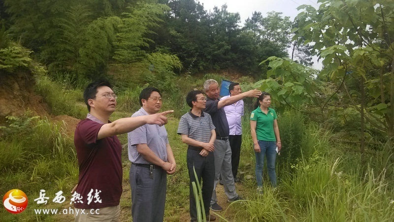 胡天南督查指导小水库防汛工作