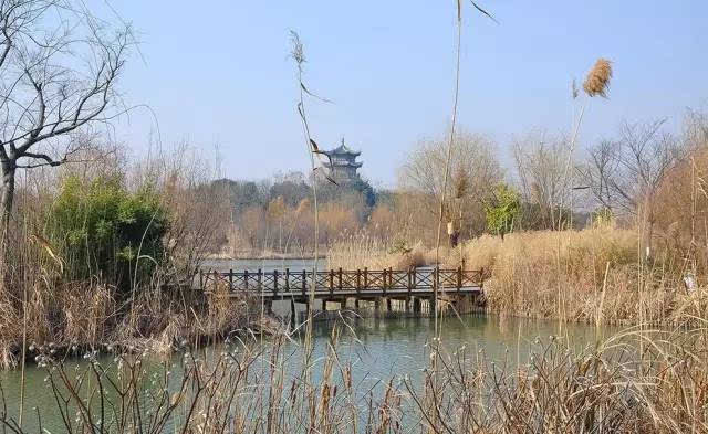 地址(位置,怎么去,怎么走 江苏省无锡市锡山区宛山湖西路林更上