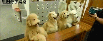 搜狐娱乐_搜狐网