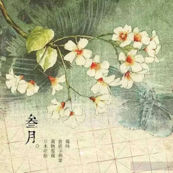 三春杨柳简谱(3)