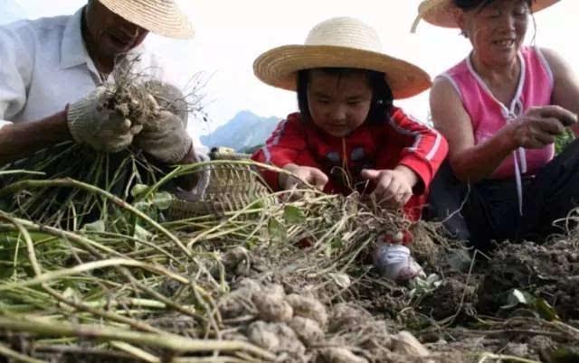 那些年,我们在农村吃过的苦,看哭!