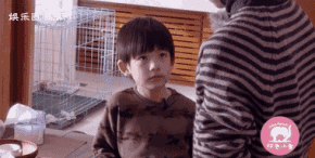 290_146gif 动态图 动图