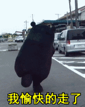146711489174312166.GIF