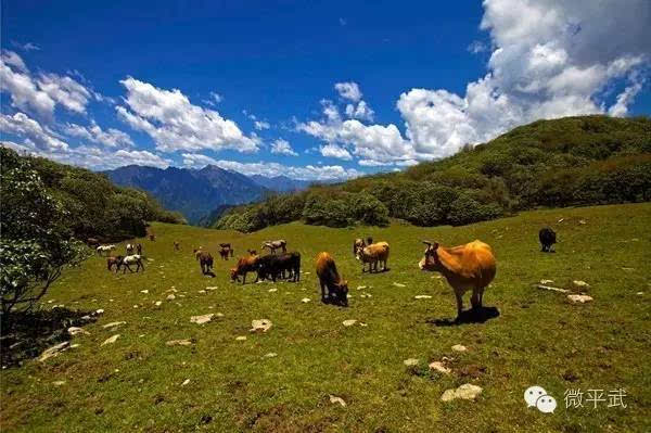 在平武泗耳有这样一个接近天堂的地方