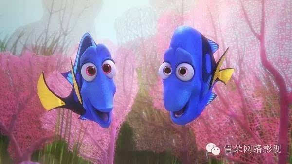 疯狂猜图 小丑鱼_疯狂猜图蓝色背景里一条黄白相间的鱼是什么电影