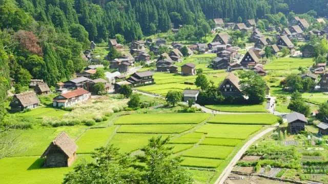 日本的一个小村庄,还进了世界文化遗产?!日本