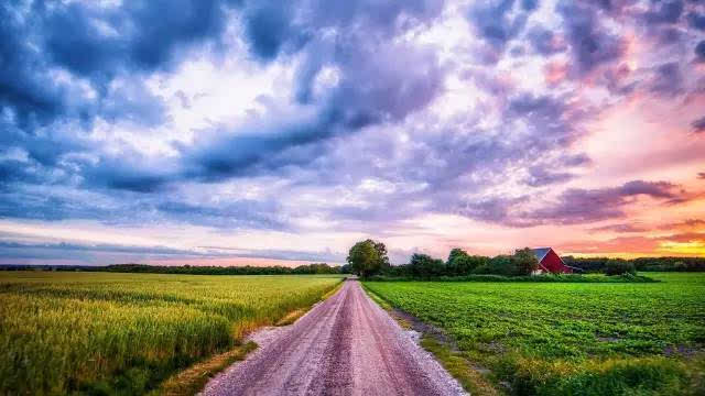 乡间的小路总有那么多的回忆,上学的路上,赶鸭子的路上,放牛的路上,留