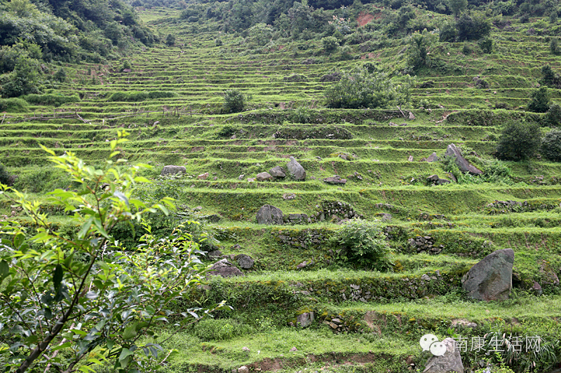 探访南康最北的原始村落邹家地