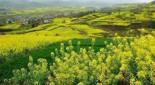 汉滨区江北办,汉滨区恒口镇,汉滨区洪山镇,汉滨区早阳镇,汉滨区田坝镇