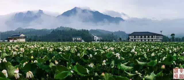 建宁县有多少人口_春风十里,不如在清新福建梨花飘雪的 建宁花海跑 中遇见你(2)