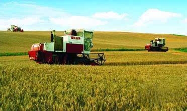 夏粮收购全面展开 部分优质小麦收购价格每公