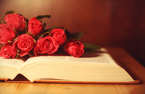 玫瑰花意境素材_火红玫瑰代表我爱你