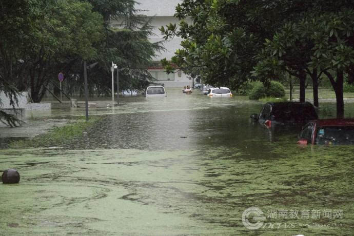 连续暴雨 湖南大学一校区多处被淹!