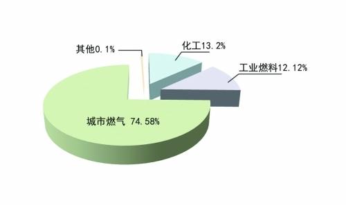 宁夏人口结构_上海 老 得快,广东正 年轻 中国人口结构大解析