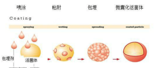 尤利弗益生菌全国招商-联合创始人