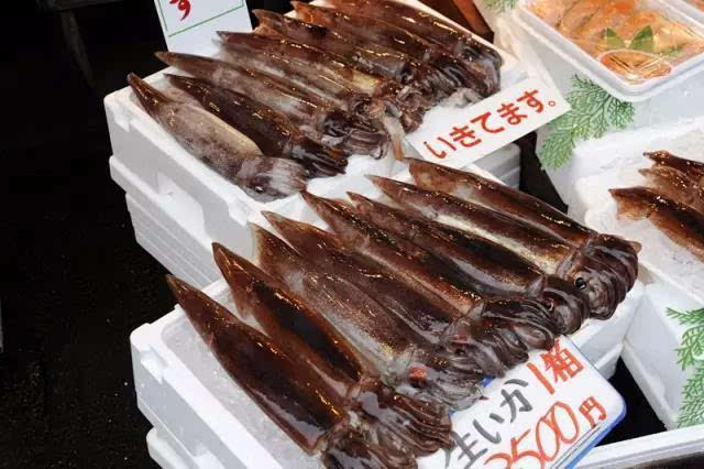 吃货天堂,在日本吃海鲜必到之地 函馆朝市
