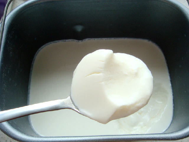 第二天早晨,发酵好的酸奶,洁白光滑如镜.