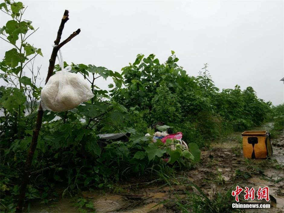 湖北天门一乡镇遭遇暴雨 村民自发抗灾自救-搜