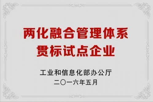 江苏省两化融合示范企业认定管理暂行办法(试行 两化融合管理体系